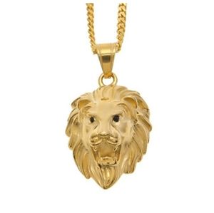 Lion Necklace Gold Lion Head Chain Hebrew Africian